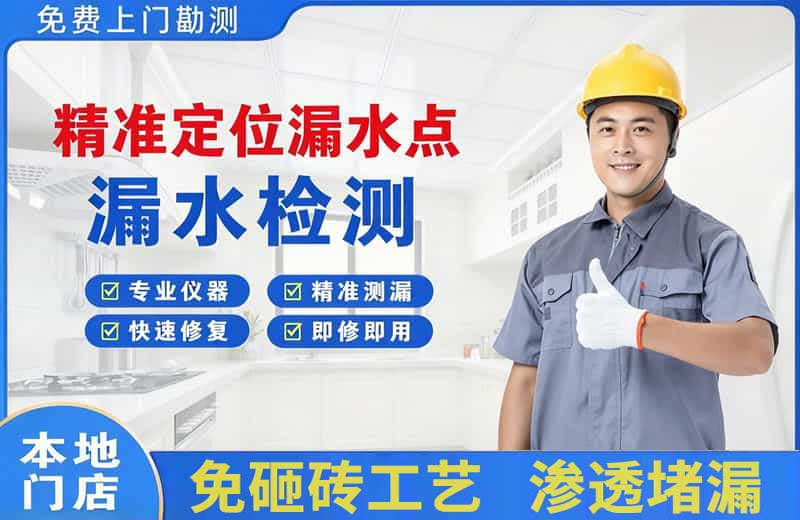 黄甲精准测漏点